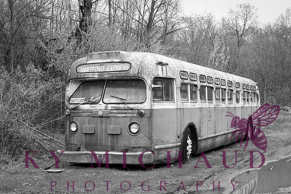 Abandoned Bus