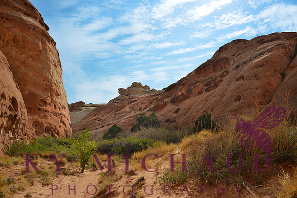 Colob Canyon Trail, Capital Reef National Park