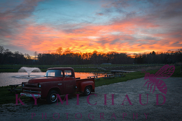 Chamard Vineyard, Clinton, CT