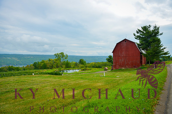 Finger Lakes NY
