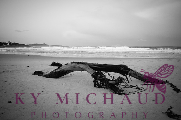Carmel by the Sea