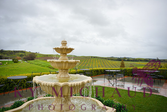 Domaine Carneros