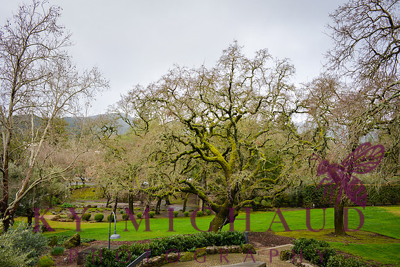 Domaine Chandon