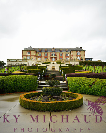 Domaine Carneros