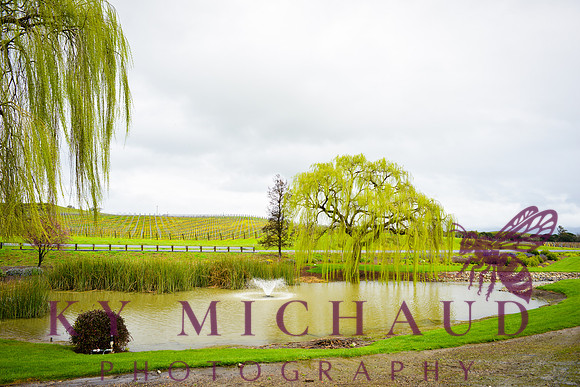 Domaine Carneros