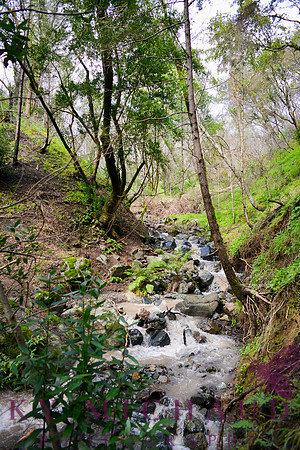 California Hike
