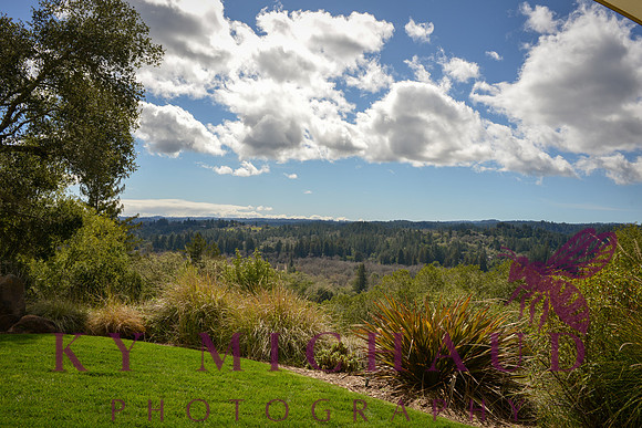 Gary Farrel Winery