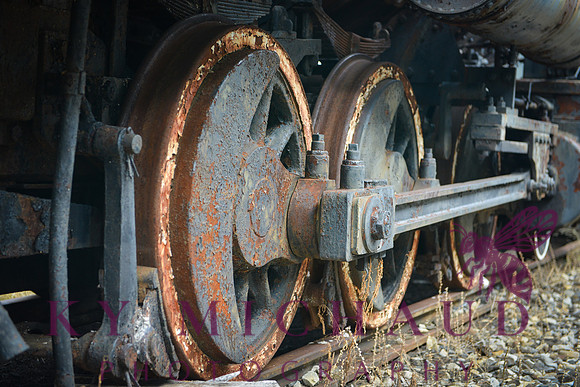 Rail yard at Steamtown USA